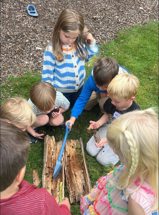 Screenshot 2025-09-17 174528